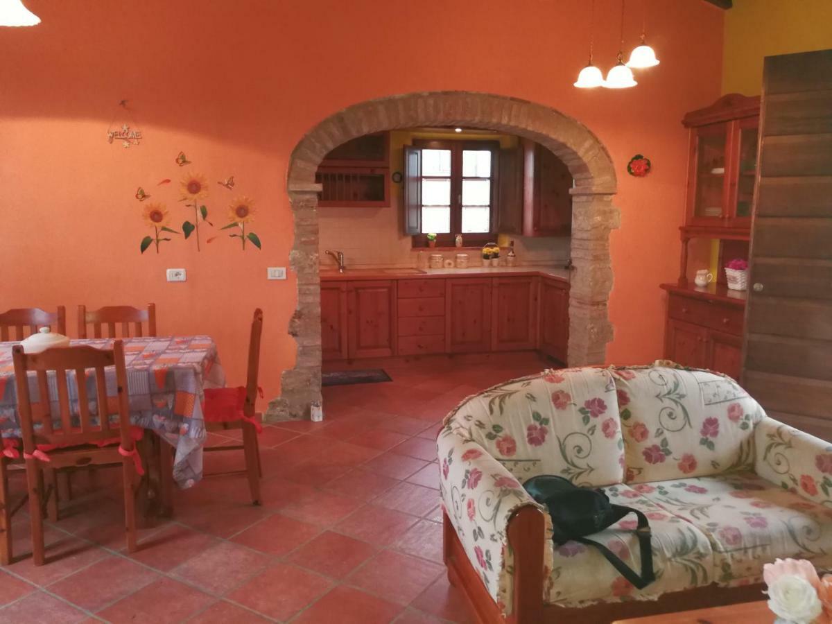 Casa Country House Girasole Vakantie Huis-Wakacje Huis Asciano Exteriör bild